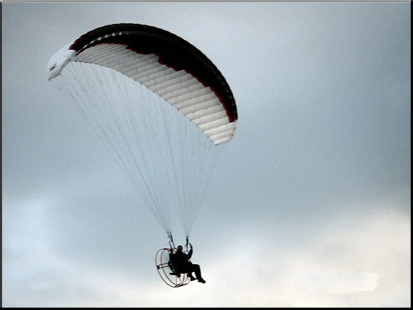 The Swing Naja
