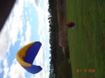 DSC00996