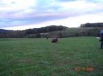 DSC01021